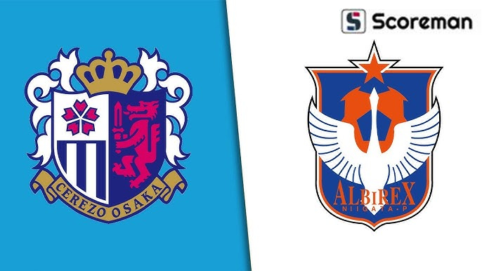 8월11일 일본 J1 리그 - 세레소 오사카 VS 알비렉스 니가타 해외축구 분석 프리뷰